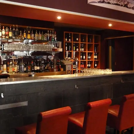 旅馆 Dzardy's Bar & Backpacker Le Châble